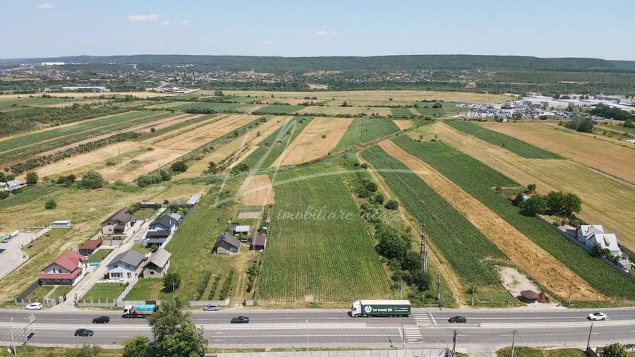 Teren Construcții intravilan de 7427 mp, în Argeșelu