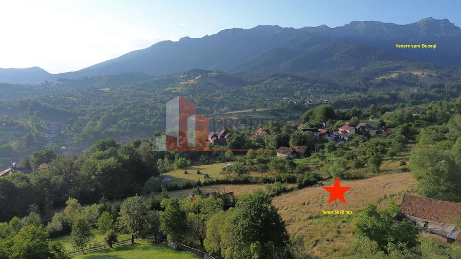Teren Construcții intravilan de 5760 mp, în Bran