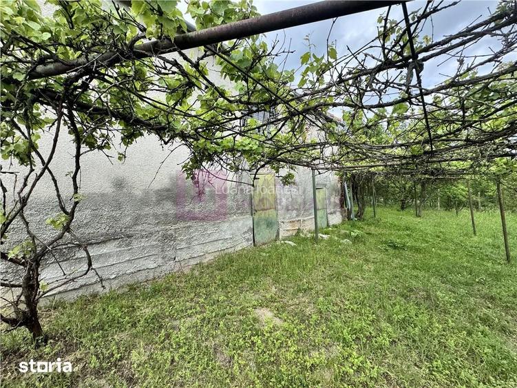Casa individuala de vanzare in Nucet | Rosia | teren 1526 mp | livada,