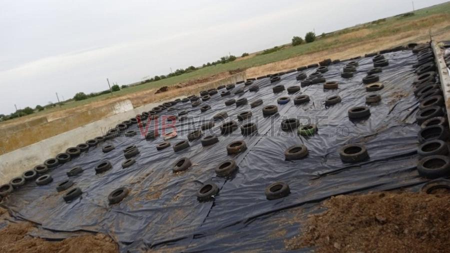 Teren extravilan de 40000 mp, în Cenad