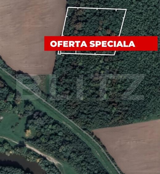 Pădure 10.000 mp Șag – front stradal 100 m, zonă în dezvoltare - 1