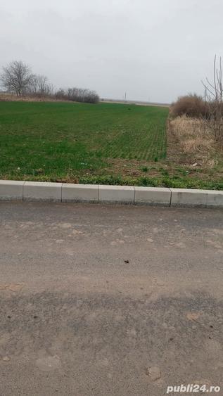 Teren de 3300 mp, în Ograda