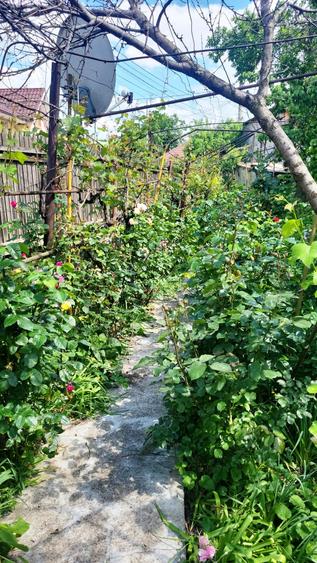 Casă individuală cu 3 camere cu Canalizare în Micro 5