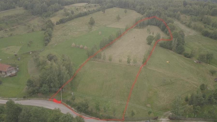 Teren de 10000 mp, în Vânători