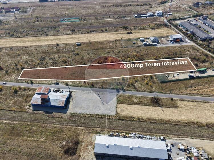 Teren agricol intravilan de 4900 mp, în Albota