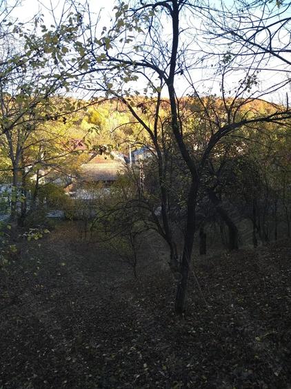 Teren de 3788 mp, în Costești