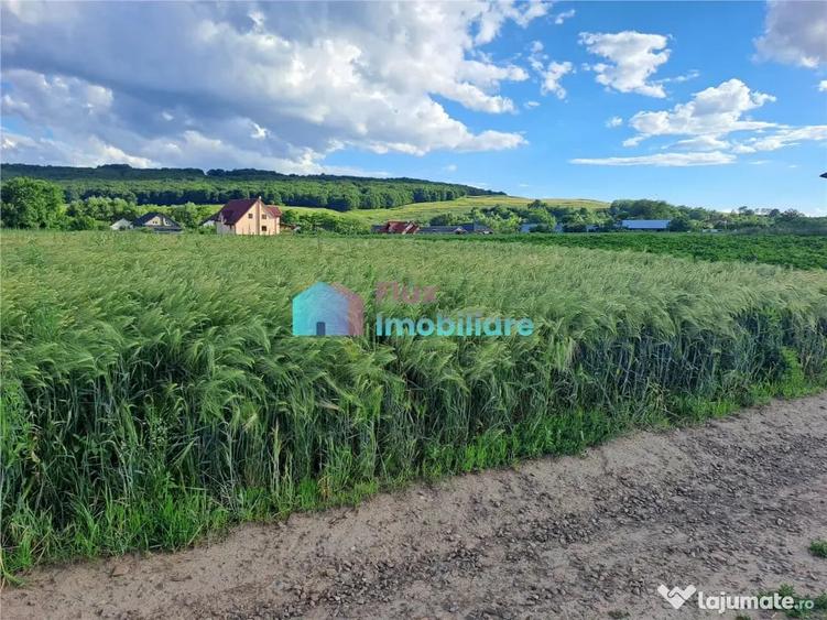 Teren intravilan in Reuseni, comuna Udesti - 6