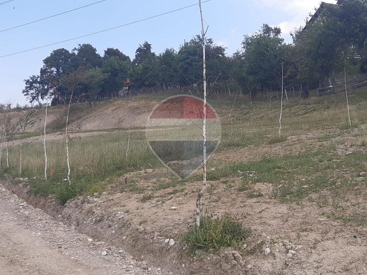 Teren Construcții intravilan de 1000 mp, în Sohodol