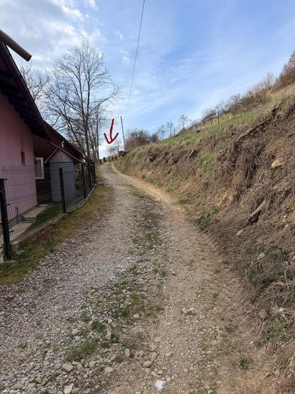 Spațiu comercial, în Vișeu de Jos