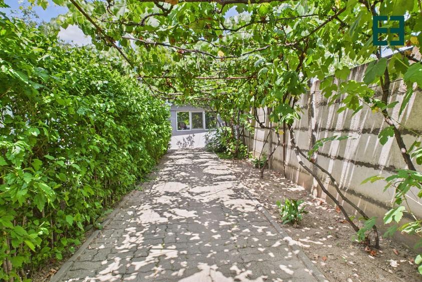 Casă 4 camere - Zona Buziașului - Timișoara - 14