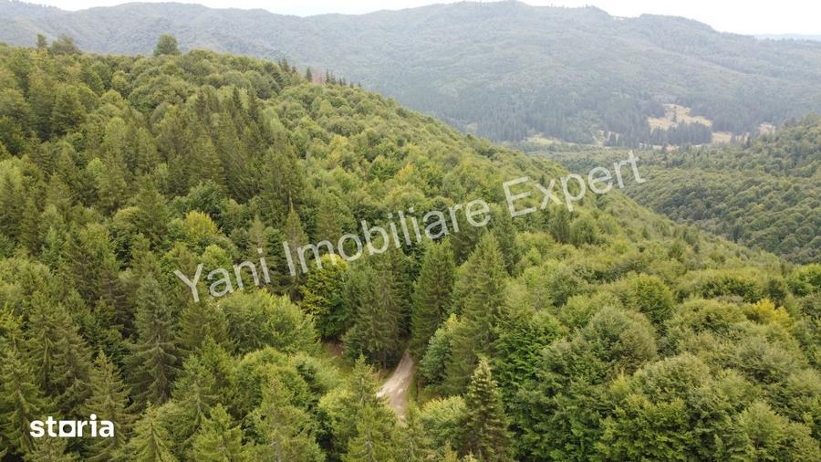 Teren de vanzare pe Transfagara?an, zona Molivi?u ( 69.450 mp ) - 2