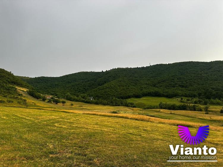 Teren agricol extravilan de 3408 mp, în Gura Râului