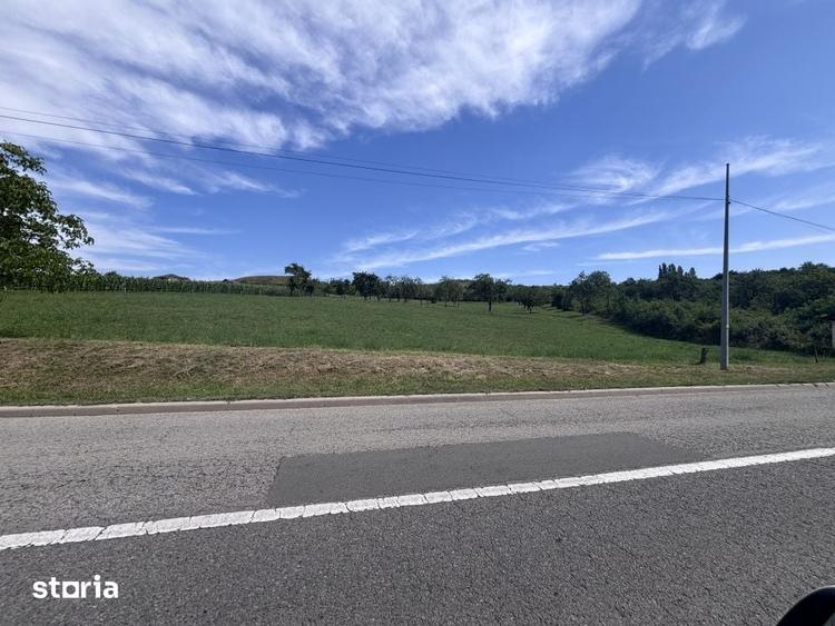 Teren de 1500 mp, în Borhanci