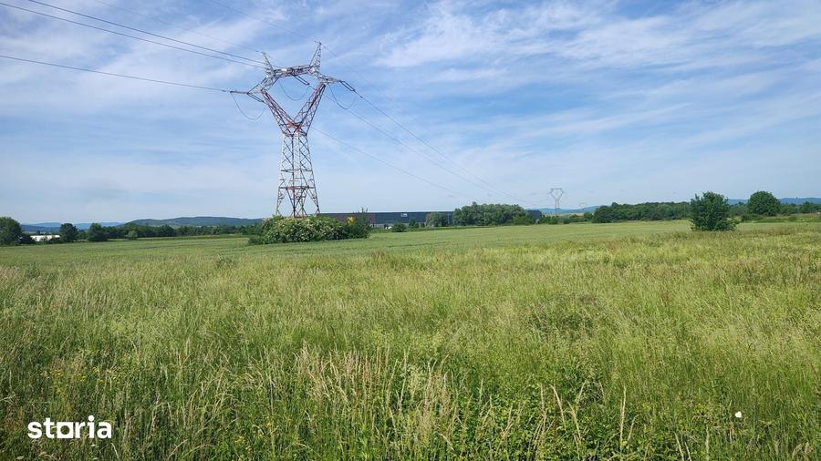 Teren de 10889 mp, în Băcia
