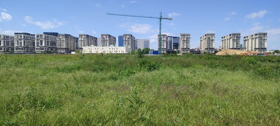 Teren Construcții intravilan de 1000 mp, în Lacul Tei