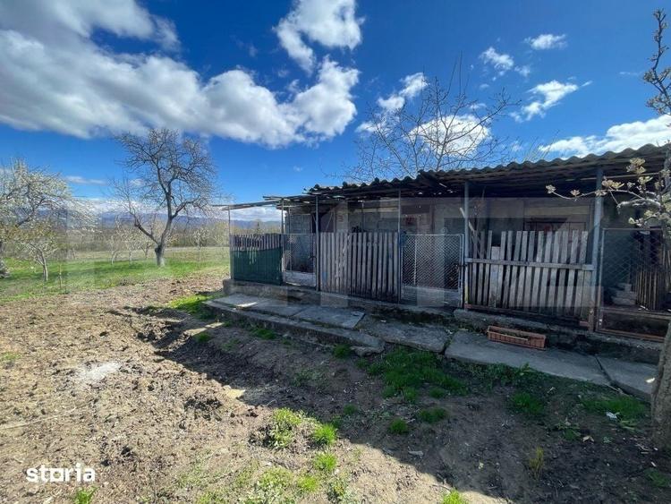Casă cu 3 camere cu Teren 3000 Mp în Central