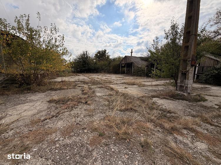 Spațiu comercial, de 48,677 mp, în Crângu