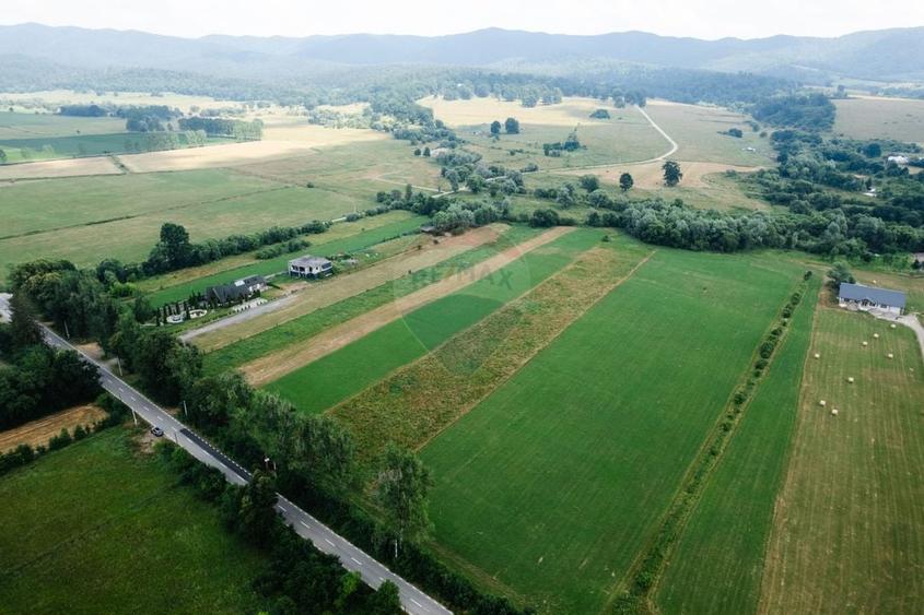Teren Construcții intravilan de 10000 mp, în Nemțișor