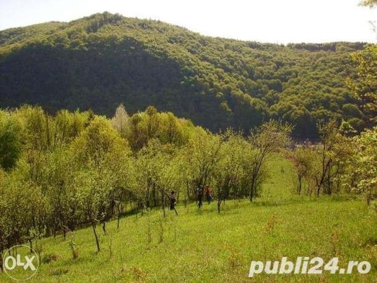 Teren de 18000 mp, în Moneasa