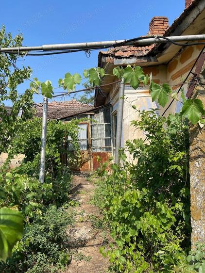 Teren de 2258 mp, în Ciocănești