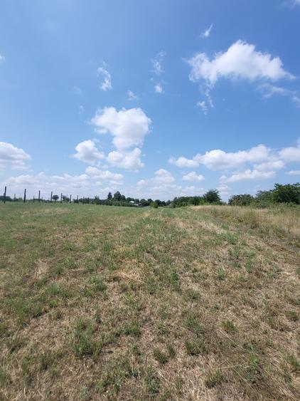 Teren Construcții intravilan de 2400 mp, în Călugăreni