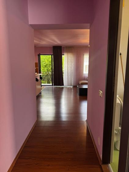 Ap 2 cam Floresti - 350 Euro - 11