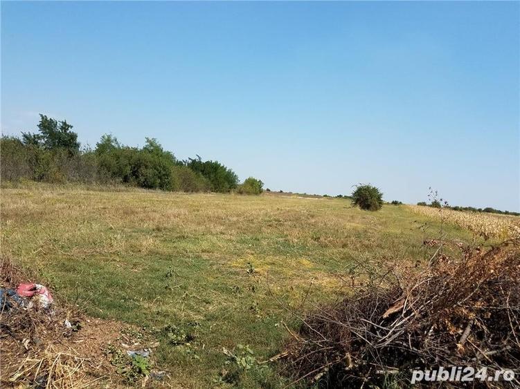 Teren de 1800 mp, în Letca Nouă