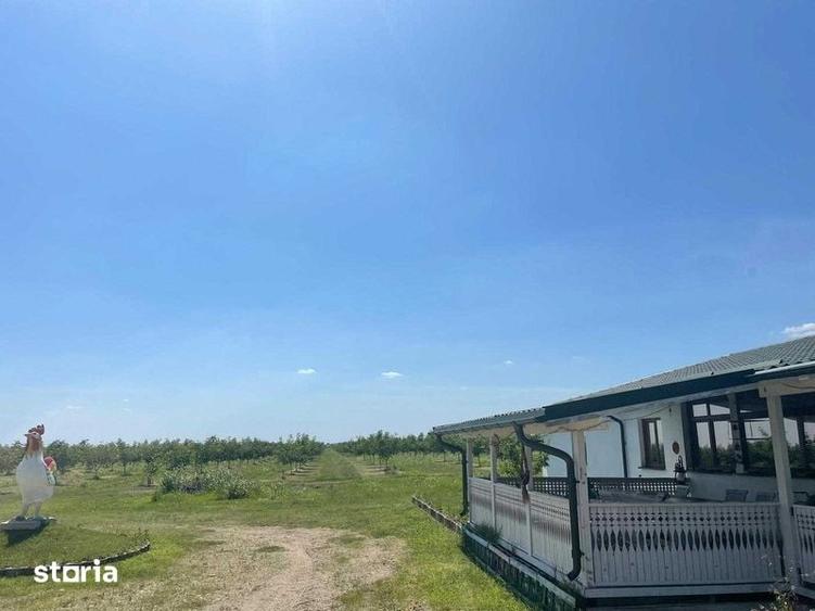 Teren de 370000 mp, în Pietroasele