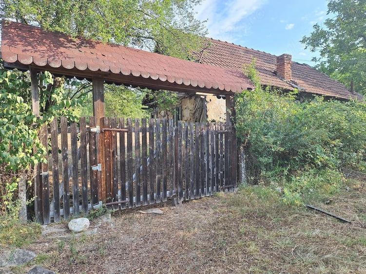 Teren de 2880 mp, în Mustești