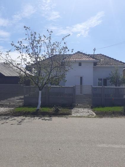 Casă cu 2 camere în Studina