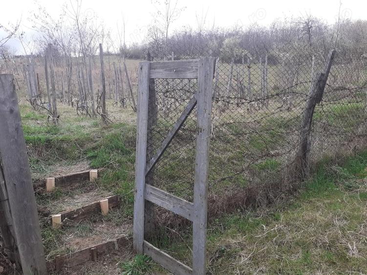Teren de 760 mp, în Central