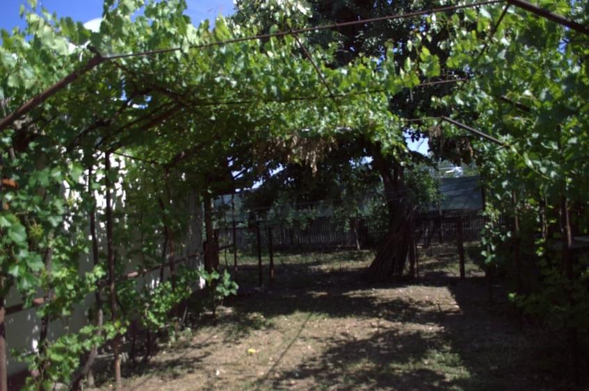 Casă cu Teren 700 Mp în Gratia