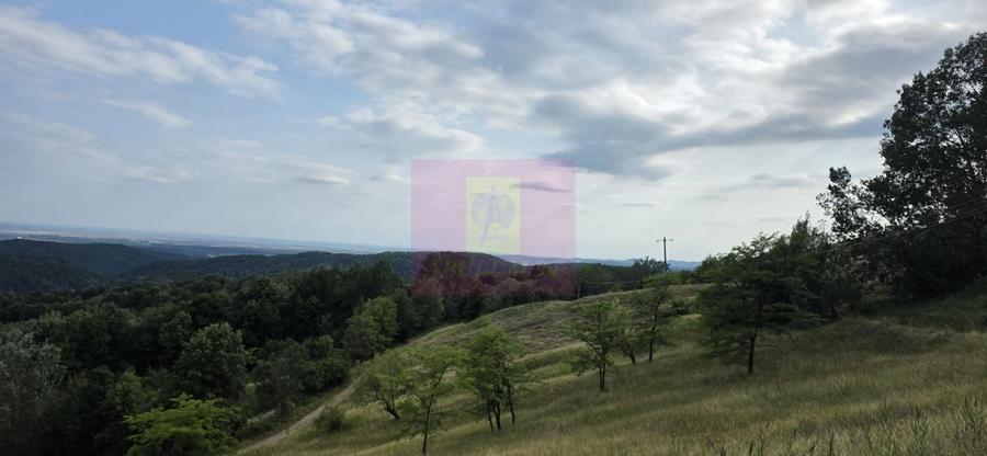 Refugiu in mijlocul naturii - 6