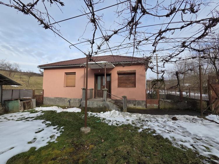 Casă cu 4 camere în Valea Crișului