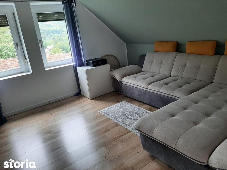 2 case pe curte / posibila investitie - 2
