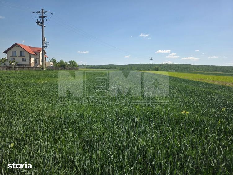 Teren de 2600 mp, în Mitocu Dragomirnei