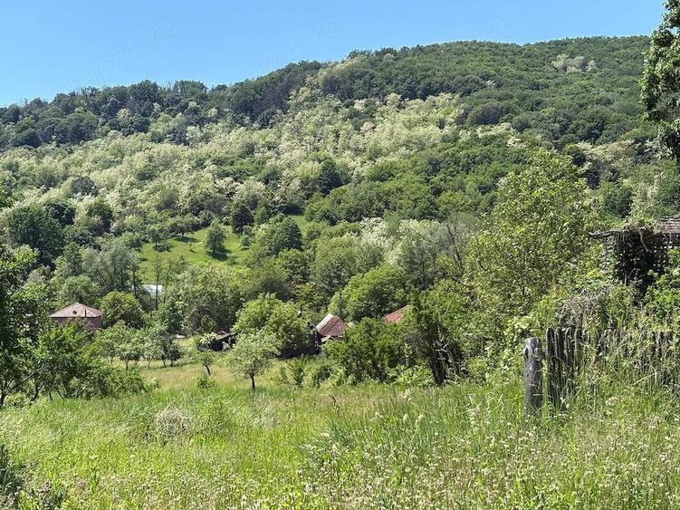 Teren de 1000 mp, în Bunești (Mălureni)