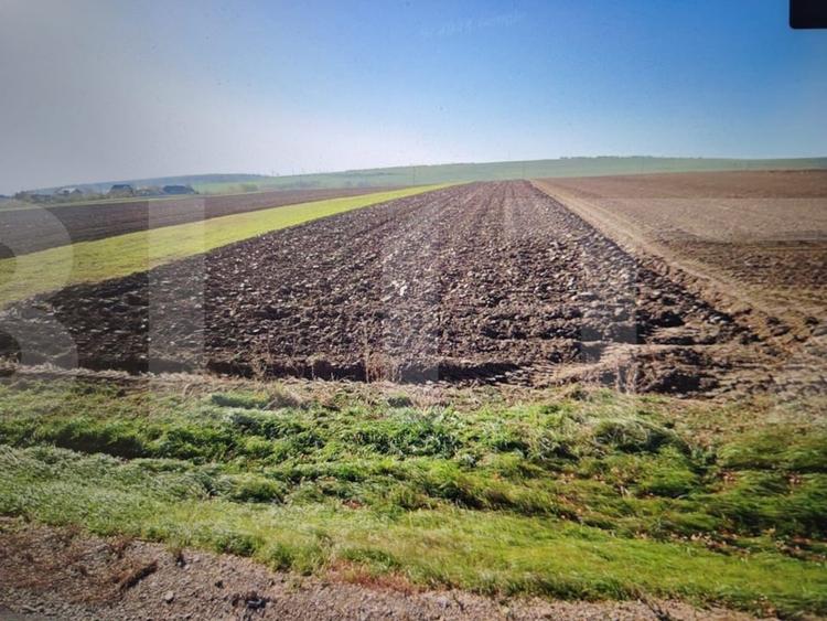 Teren agricol extravilan de 15500 mp, în Brăești