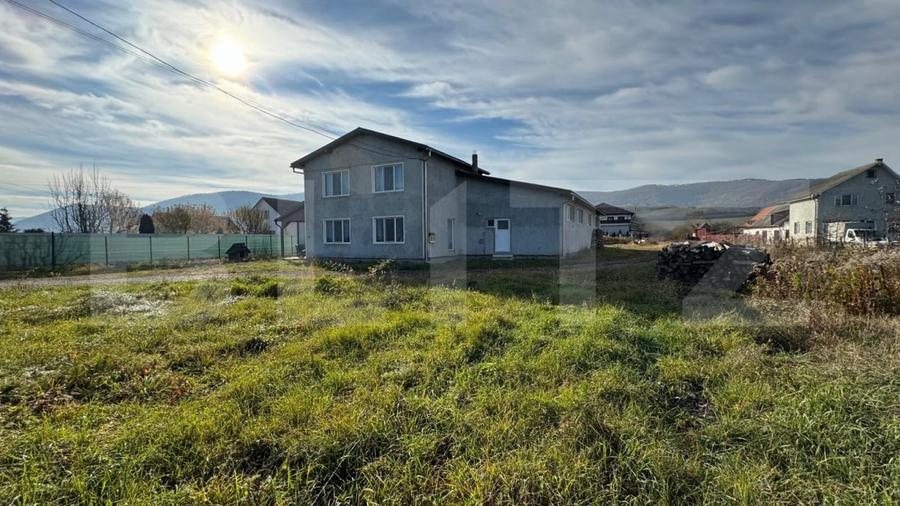 Afacere la cheie, casa de locuit si 28 ari de teren in Arcalia - 6