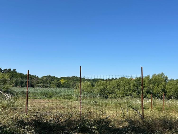 Teren Construcții intravilan de 1500 mp, în Periș