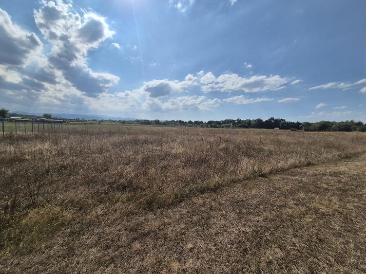 Teren Construcții intravilan de 491 mp, în Șelimbăr