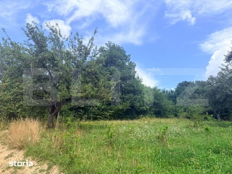 Teren intravilan de vanzare, 1235 mp, zona Sohodol - 1