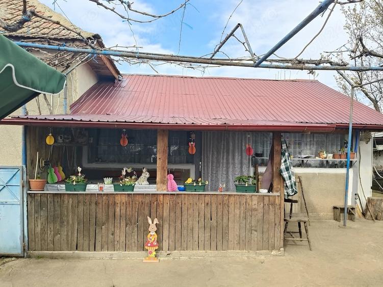 Casă cu 4 camere cu Teren 1500 Mp în Dârvari