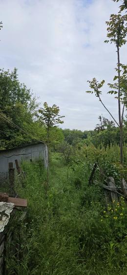 Casă cu Teren 1056 Mp în Petrăchioaia