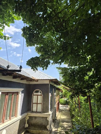 Teren de 3000 mp, în Amzacea