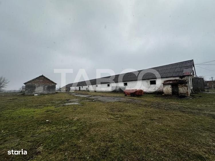 Teren de vanzare 8380 mp cu anexa de 1538 mp judet Sibiu Mohu - 2