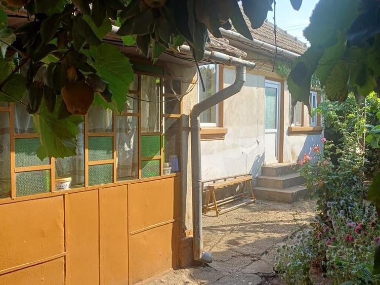 Casă individuală cu 4 camere cu Teren 3000 Mp în Moțăței-Gară