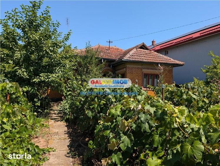 Casă cu 3 camere cu Teren 3000 Mp în Gruiu