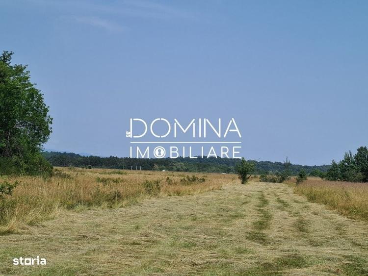 Spațiu comercial, în Dobrița