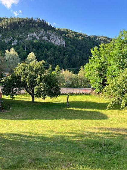 Teren de 1020 mp, în Bran